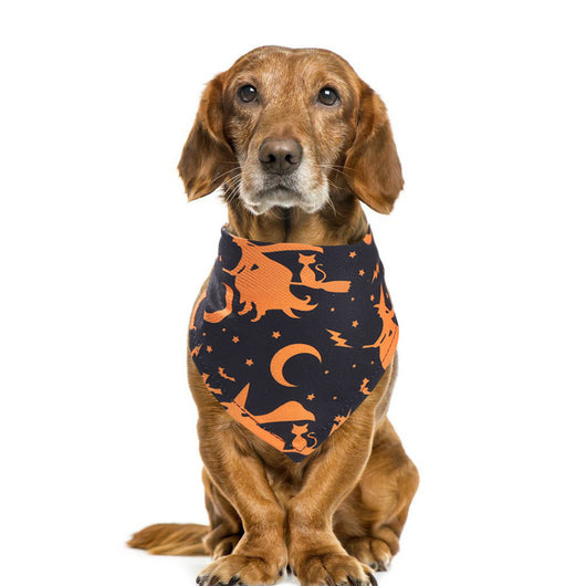 Pañoleta Triangular Halloween para Mascotas - Image 23