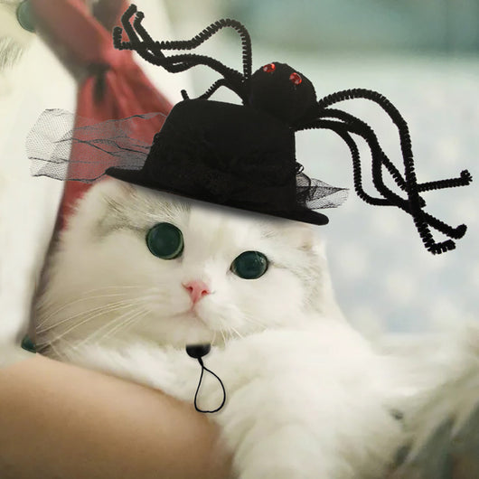 Gorro Cálido Disfraz Mascota Perro Gato - Accesorios Fotográficos - Image 37