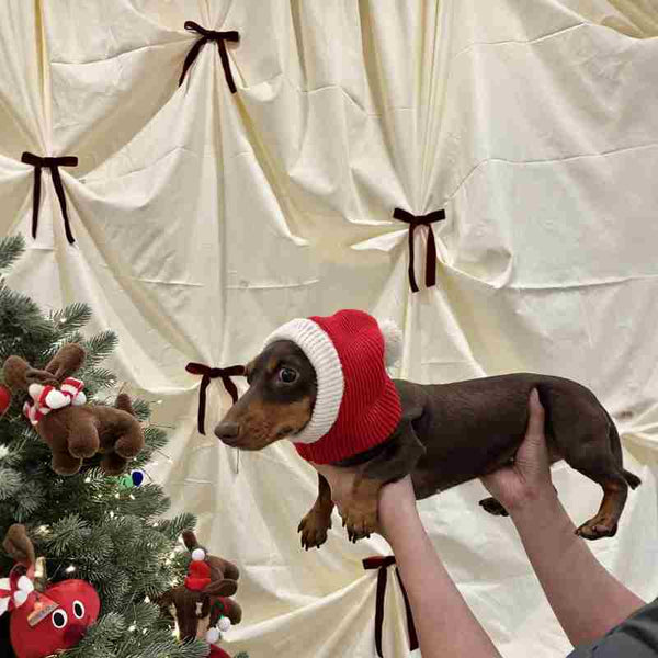 Gorro Cálido de Peluche con Forma de Perro Salchicha para Navidad