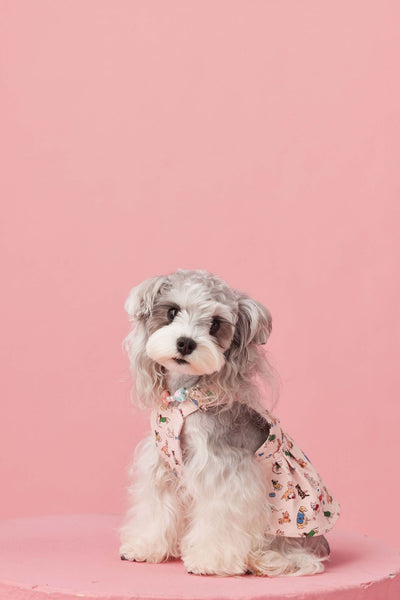 Falda Denim con Tirantes para Perros Pequeños Schnauzer y Maltés - Image 44