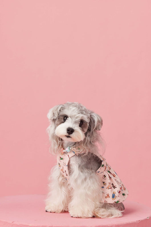 Falda Denim con Tirantes para Perros Pequeños Schnauzer y Maltés - Image 44