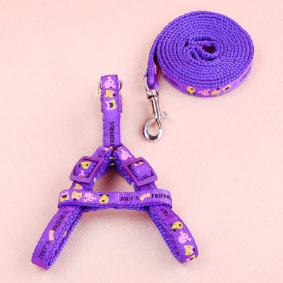 Juego de Cuerda de Tracción con Parche para Mascotas - Image 8