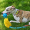 Juguete Interactivo de Cuerda Resistente para Perros - Tirador Masticable