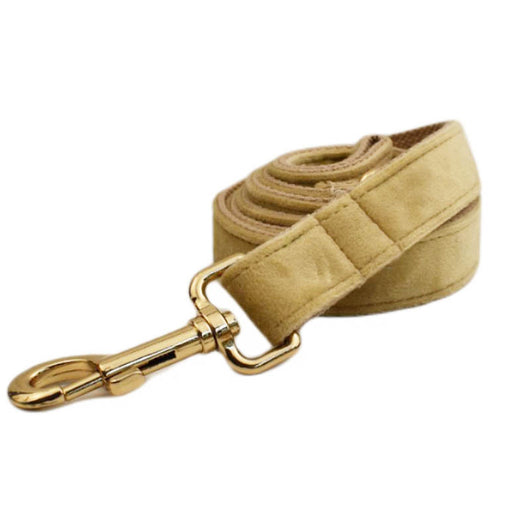 Collar de Terciopelo para Perro - Suave y Elegante - Image 15
