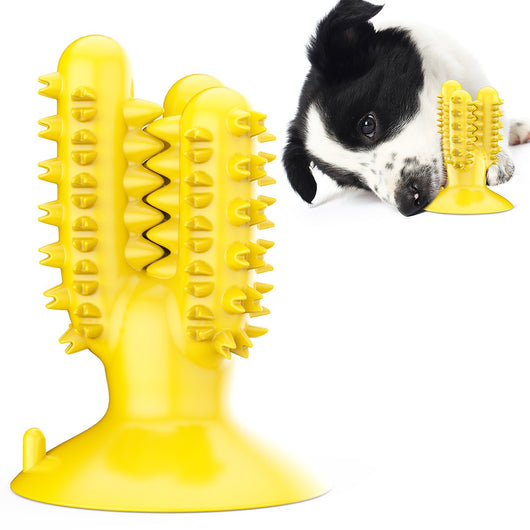Juguete Dental de Hueso para Perros - Limpiador de Muelas - Image 7