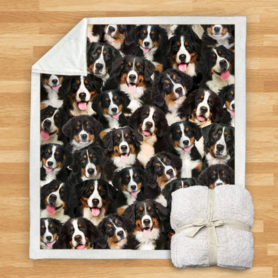 Manta Franela Estampada para Perros - Image 12