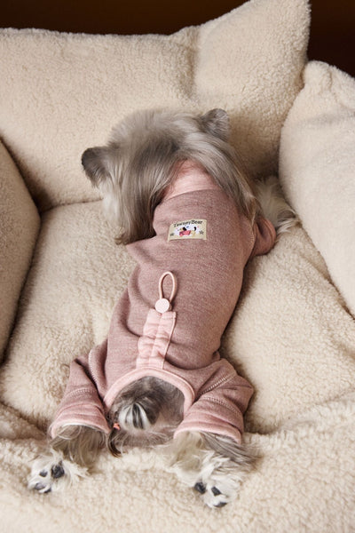 Ropa para Perros Teddy Schnauzer Bichon Bicolor Cómoda - Image 22