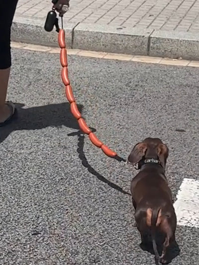 Juguete de Cuerda para Perro con Salchichas Grandes - Image 13