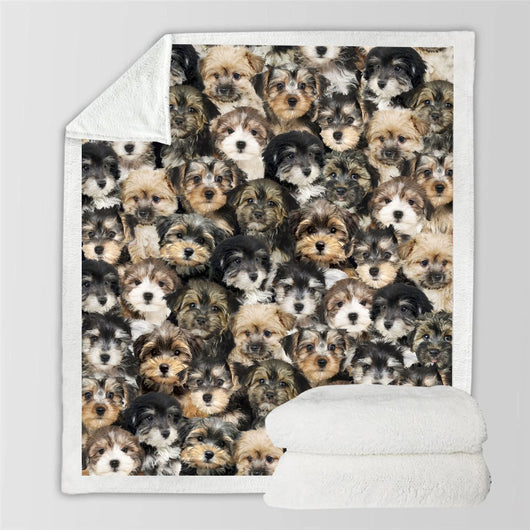 Manta Flanela Estampada para Perros de Moda - Image 40