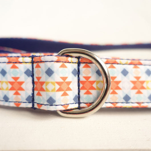 Correa y Collar para Perro Ajustable de Calidad Premium - Image 9