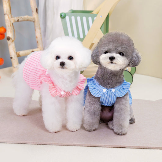 Vestido Princesa para Mascotas con Rayas Verticales - Image 7