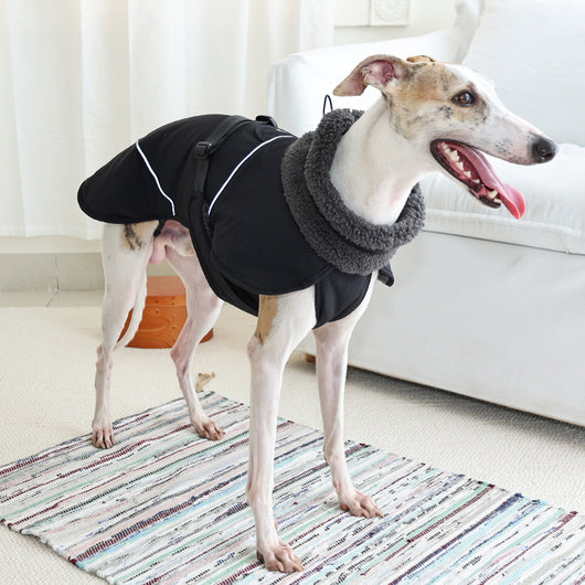 Abrigo Acolchado para Perros - Protección Térmica para Otoño e Invierno - Image 2