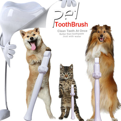 Toallitas Limpiadoras de Dientes para Mascotas - Herramienta Portátil de Higiene Bucal - Image 9