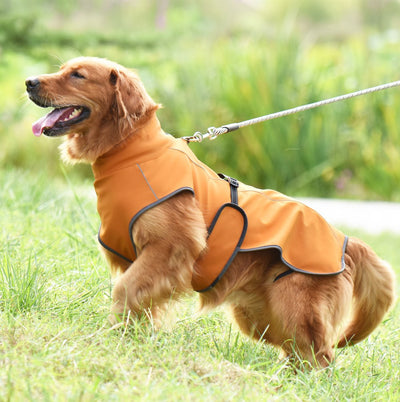 Abrigo Reflectante para Perros - Protección Térmica Otoño e Invierno - Image 7