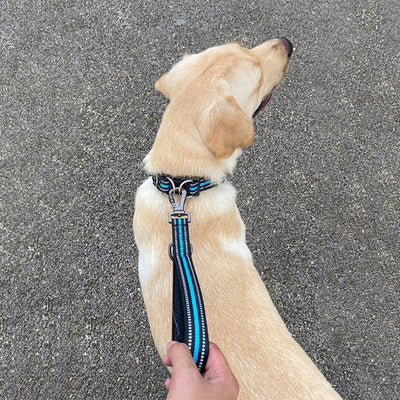 Cuerda de Entrenamiento Corta para Perros Grandes con Tracción - Image 3