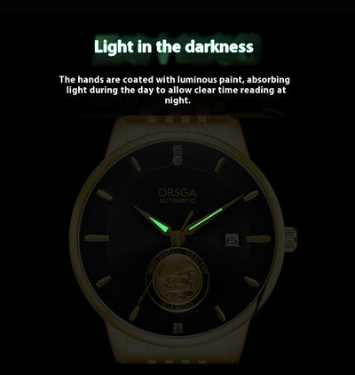 Reloj Mecánico Empresarial para Hombre con Fondo Transparente Impermeable - Image 20