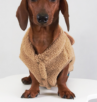 Chaleco de Lana para Mascotas - Abrigo Otoño e Invierno para Perros y Gatos - Image 10