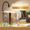 Acuario de Bloques Acrílico Reforzado para Escritorio con Decoración Natural