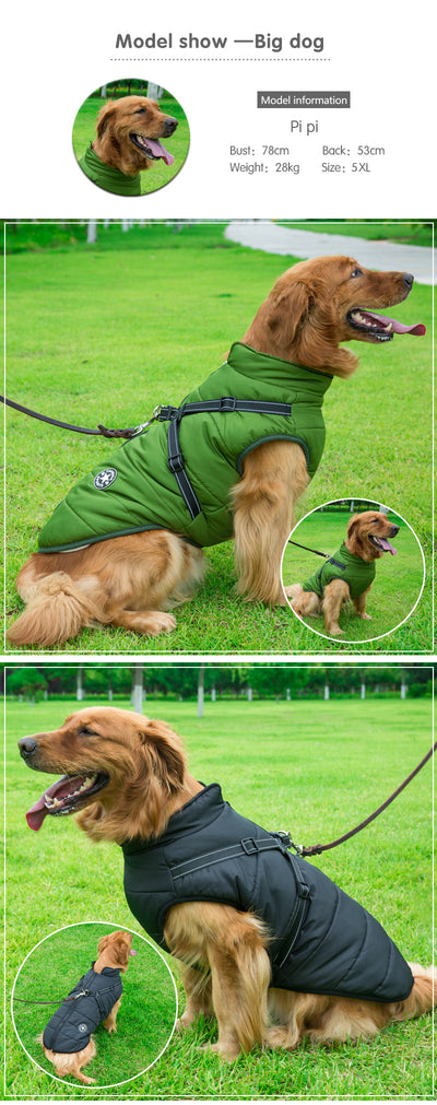 Abrigo Reflectante Impermeable para Perros Grandes - Chaleco Térmico Invierno - Image 14