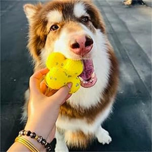 Pelota Calmante para Perros - Apoyo Emocional y Relajación