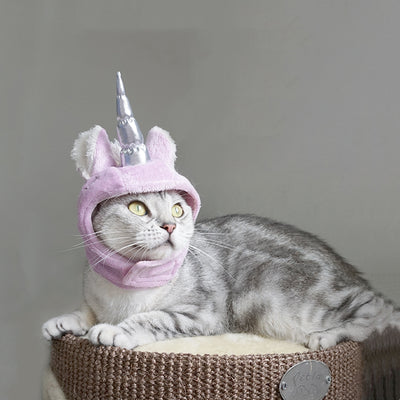 Sombrero Disfraz para Mascotas - Gato Arrastrable Universal Halloween - Image 10