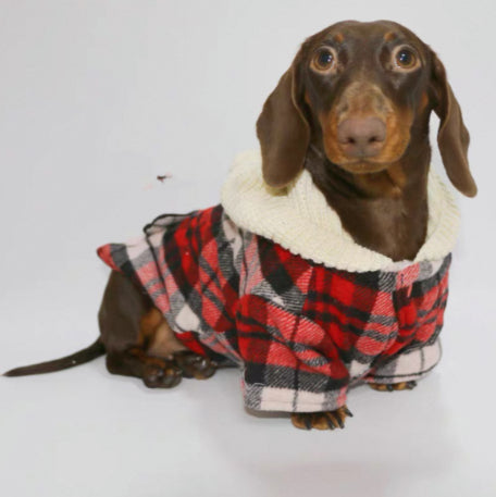 Camisa Cuadriculada para Perros - Ropa Adorable y Cómoda - Image 3