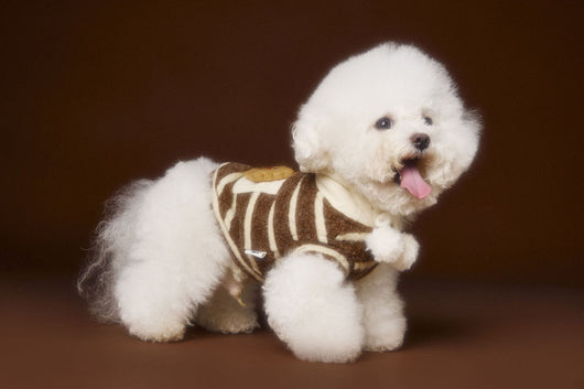 Suéter Acogedor de Galleta Felt para Mascotas - Otoño e Invierno - Image 11