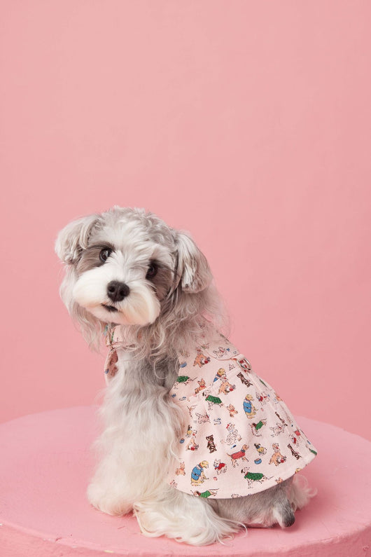 Falda Denim con Tirantes para Perros Pequeños Schnauzer y Maltés - Image 54