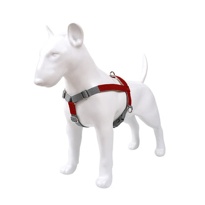 Arnés de Pecho para Perro en Cuero con Correa de Nylon - Image 3