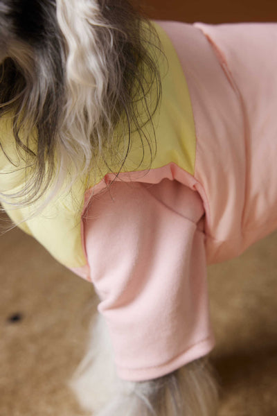 Chaleco Acolchado de Invierno para Perros Pequeños - Teddy, Schnauzer, Bichón - Image 27