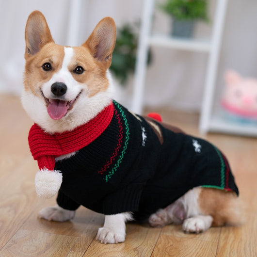 Abrigo Acolchado Térmico para Shiba Inu - Protección Invernal