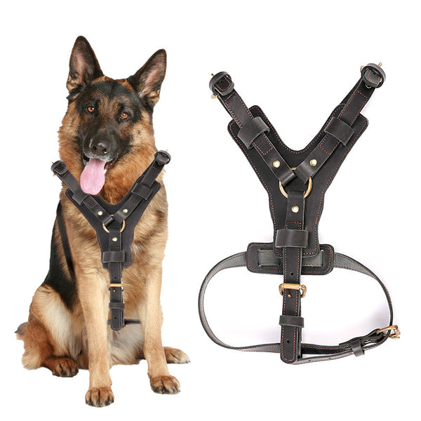 Arnés de Pecho con Cuerda Automática para Perros - Set Completo de Tracción