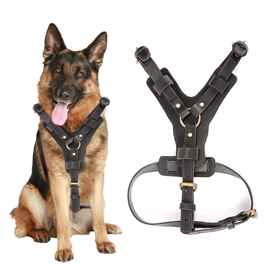 Arnés de Pecho con Cuerda Automática para Perros - Set Completo de Tracción