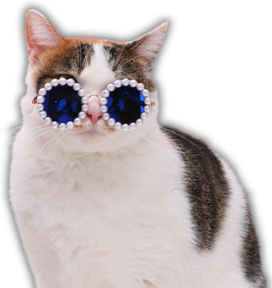 Gafas de Sol Pearl para Mascotas - Accesorios Divertidos y Elegantes para Disfraz de Fiesta - Image 9