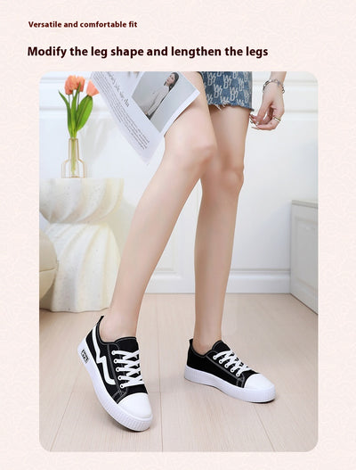 Zapatos Casuales Cómodos Transpirables con Suela Antideslizante - Image 25
