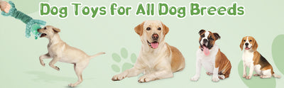Juguetes para Perros Chirriantes de Peluche - Juegos de Tracción para Mascotas Pequeñas, Medianas y Grandes - Image 9