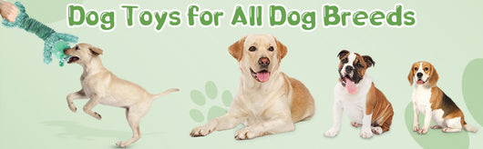 Juguetes para Perros Chirriantes de Peluche - Juegos de Tracción para Mascotas Pequeñas, Medianas y Grandes - Image 9