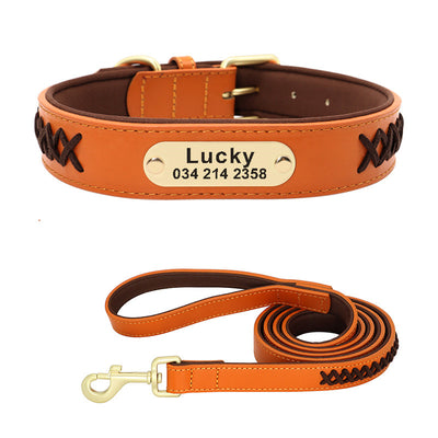 Collar Identificación Perros Medianos y Grandes Antiextravío - Image 30