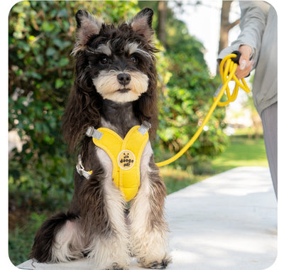Arnés de Paseo con Correa de Mano para Mascotas - Image 21