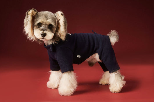 Ropa Térmica para Perros - Abrigo Waffle Otoño e Invierno - Image 19