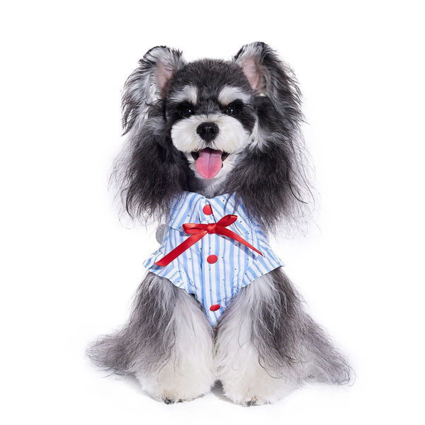 Playera Fresca para Schnauzer - Diseño Adorable para Verano