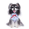 Playera Fresca para Schnauzer - Diseño Adorable para Verano