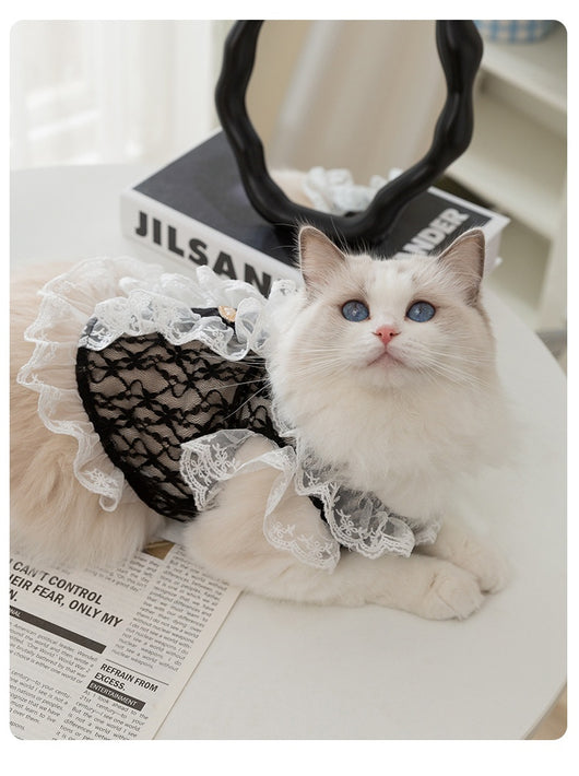 Chaleco de Encaje con Tracción para Gatos y Cachorros - Ropa Ligera para Mascotas - Image 14