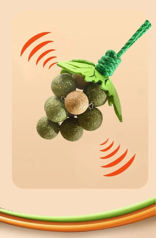 Juguetes Interactivos para Gatos con Hierba Gatera, Palitos Masticables Resistentes - Image 14