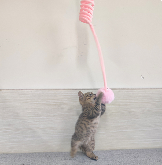 Juguete Interactivo para Gatos con Ventosa y Bola de Pelo - Image 27