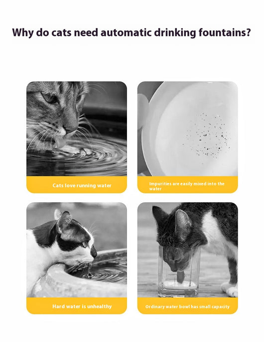 Fuente de Agua para Gatos con Diseño Cerámico Adorable - Image 11