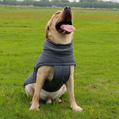 Abrigo Impermeable para Perros Grandes - Trinchera Térmica Corgi y Razas Medianas - Image 3