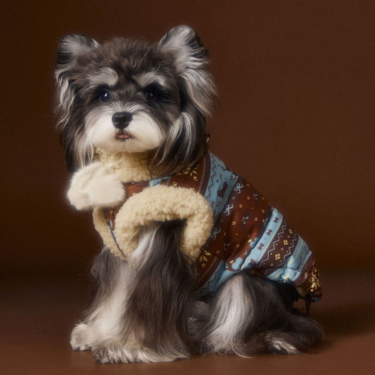 Chaleco Fair Isle para Mascotas Schnauzer Bichon Teddy - Image 3