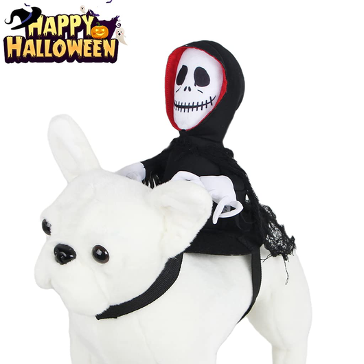 Disfraz Divertido para Mascotas Halloween - Chaleco Araña y Calabaza - Image 3
