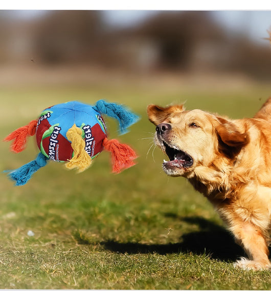 Juguete Masticable de Larga Duración para Mascotas - Image 19